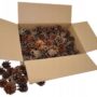 DIY Szyszki sosnowe naturalne ok. 125 szt. 2471486